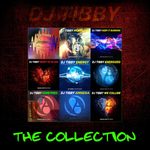 Listen to Firedance (Pulsedriver Remix) song with lyrics from DJ Tibby
