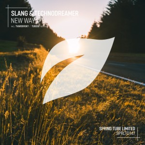 Album New Way from Slang