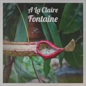 收聽Bonnie Dobson的A La Claire Fontaine歌詞歌曲