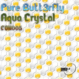 收聽Pure Butt3rfly的Aqua Crystal (Bootyshine Remix)歌詞歌曲