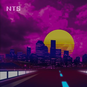Dengarkan lagu Shadow Show nyanyian Never The Strangers dengan lirik