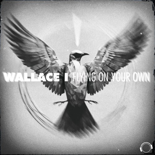Flying On Your Own (Extended Mix)