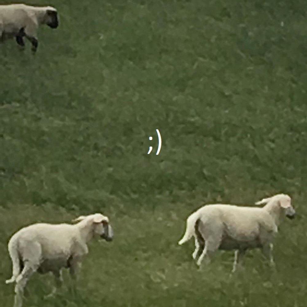 gluppprodbynewport (feat. Newport) (Explicit)