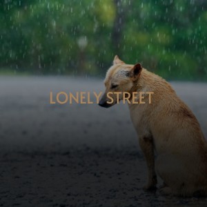 收听Tom Jones的You've Lost That Lovin' Feeling歌词歌曲