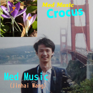 收聽Jinhai Wang的You Will Never Walk Alone歌詞歌曲