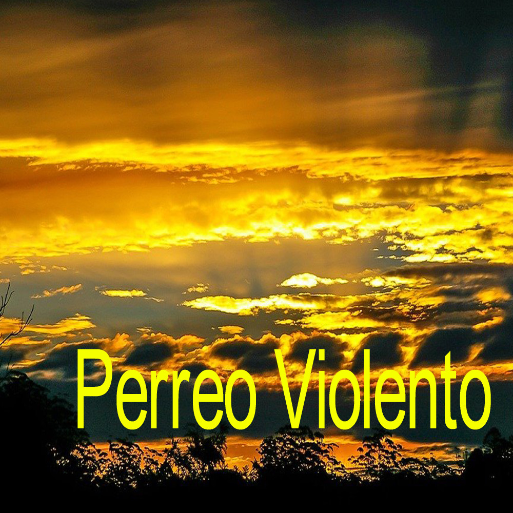 Perreo Violento