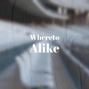 Album Whereto Alike from Various