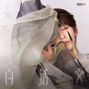 收聽劉宇的柳葉刀 (伴奏)歌詞歌曲