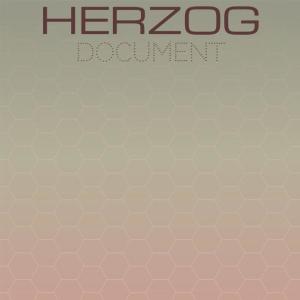 ดาวน์โหลดและฟังเพลง Herzog Document พร้อมเนื้อเพลงจาก Assar