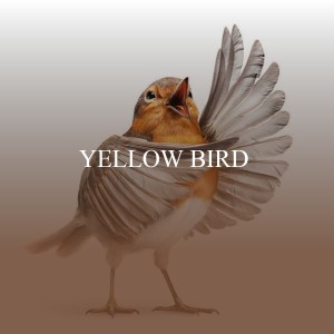收聽The Brother's Four的Yellow Bird歌詞歌曲