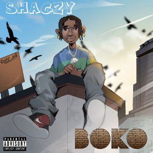 Listen to Boko (Explicit) song with lyrics from Shagzy