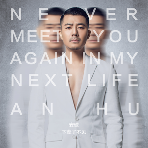 Listen to Never meet you again in my next life song with lyrics from 安琥