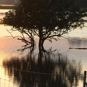 ดาวน์โหลดและฟังเพลง Mirror พร้อมเนื้อเพลงจาก Sense Theater