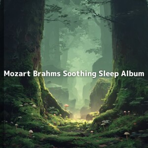 Mozart Brahms Soothing Sleep Album dari Mozart Brahms Lullaby