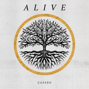 Listen to Dejé De Sentir song with lyrics from Casero