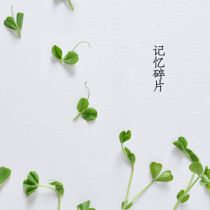 Dengarkan lagu 记忆碎片 nyanyian 梅花 dengan lirik