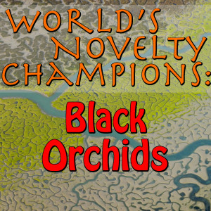 World's Novelty Champions: Black Orchids