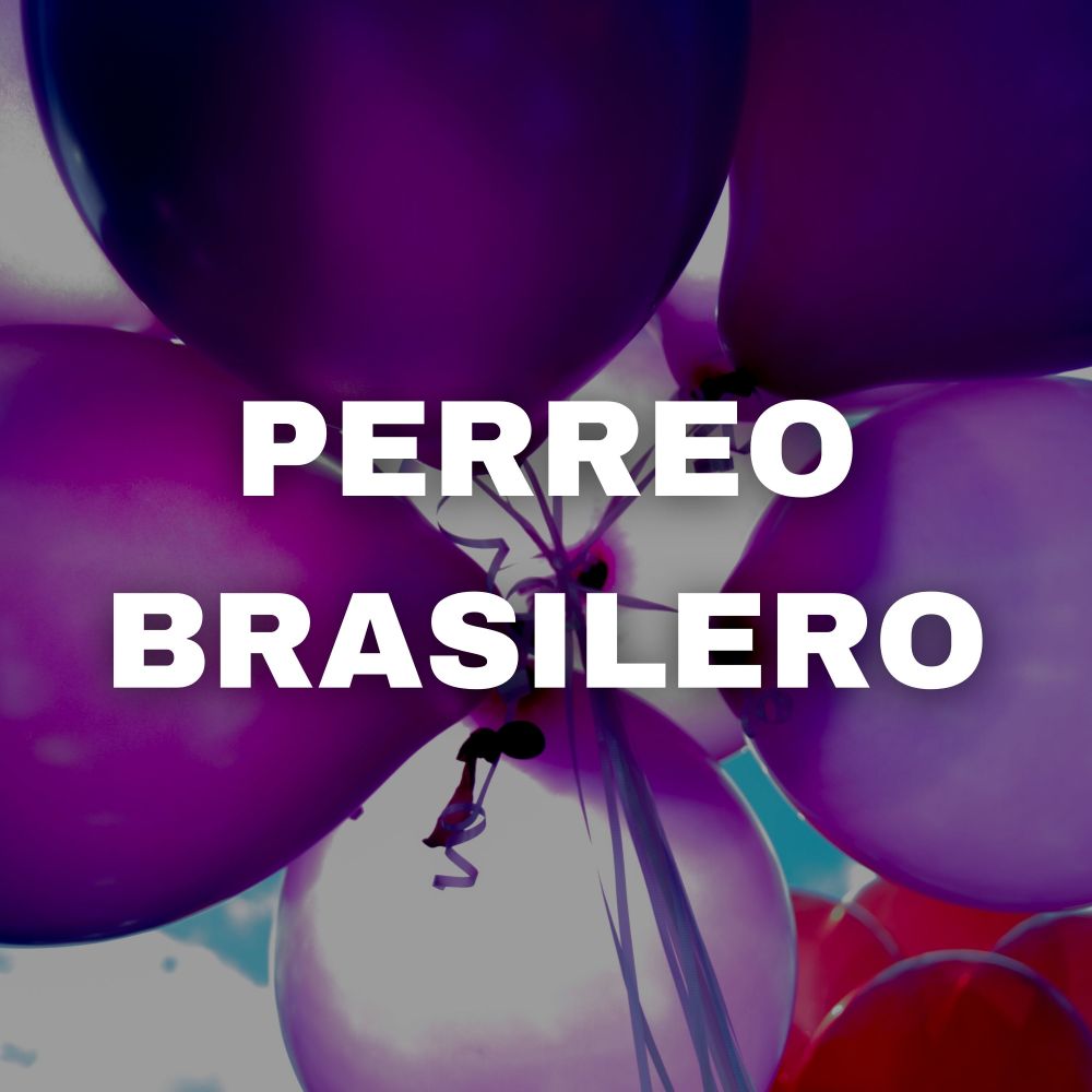 Perreo Brasilero