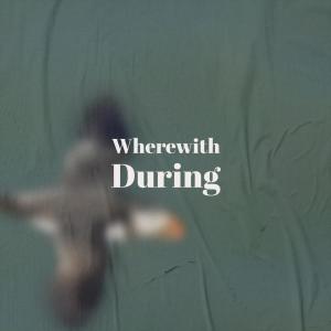ดาวน์โหลดและฟังเพลง Wherewith During พร้อมเนื้อเพลงจาก Cimi Vica