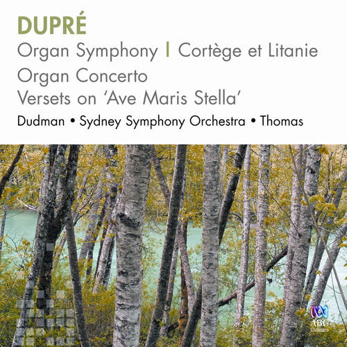 Dupré: Concerto in E Minor for Organ & Orchestra, Op. 31 - 1. Allegro con moto