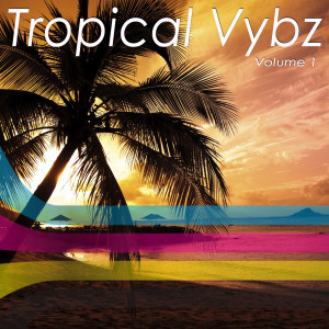 Various的专辑Tropical Vybz, Vol. 1