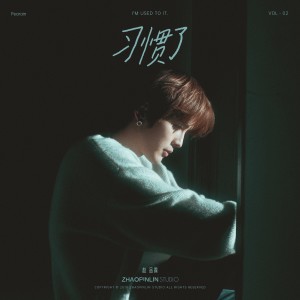 收听赵品霖的習慣了歌词歌曲