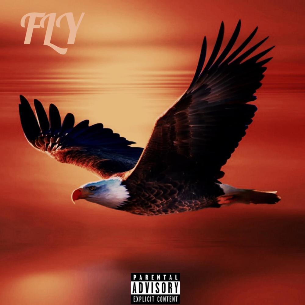 Fly (Explicit)