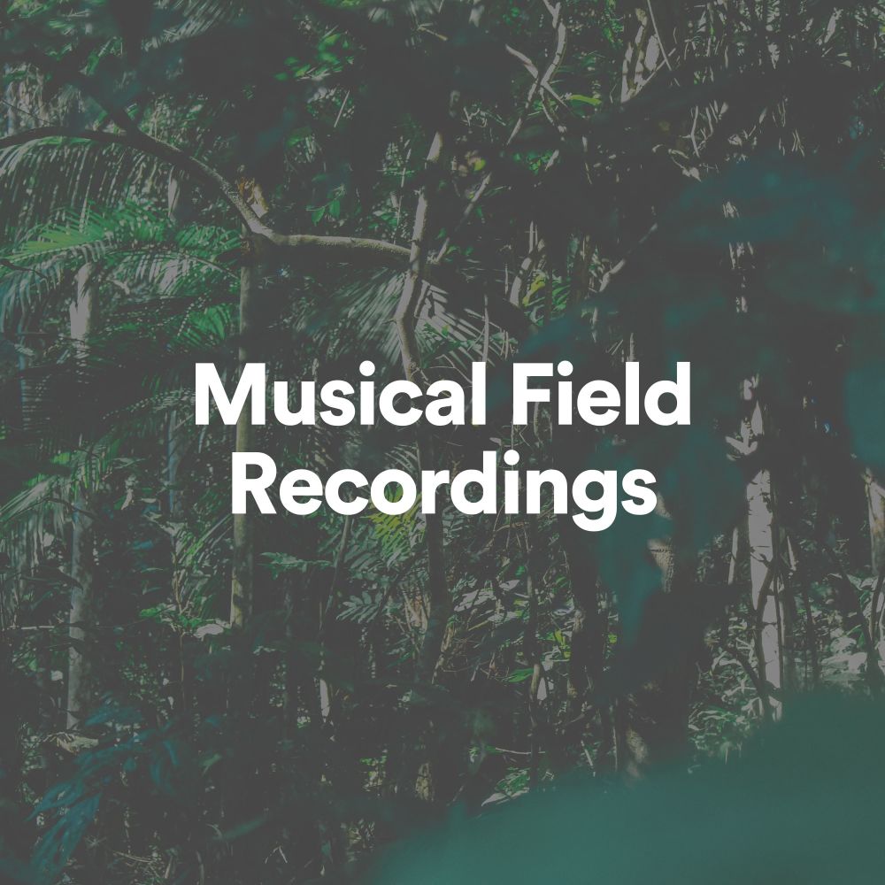 Musical Field Recordings, Pt. 60