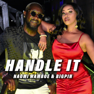 Bigpin的專輯Handle It