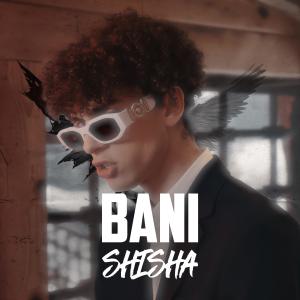 Listen to Shisha song with lyrics from Bani