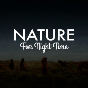 ดาวน์โหลดและฟังเพลง Runnel Flows พร้อมเนื้อเพลงจาก Dreams of Nature
