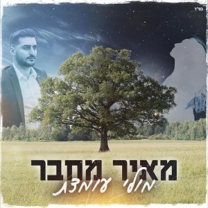 收聽מאיר מחבר的מולי עומדת歌詞歌曲