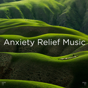 ดาวน์โหลดและฟังเพลง Cricket Sounds & Music พร้อมเนื้อเพลงจาก Nature Sounds