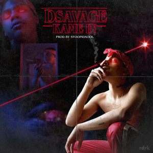收听D Savage的Kame In歌词歌曲