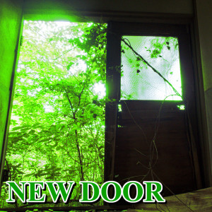 Album New Door from Bosiehead
