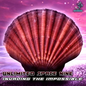 Album Invading the Impossible oleh Unlimited Space Nine