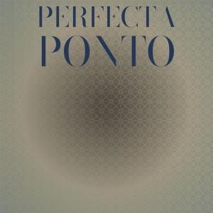 Various的专辑Perfecta Ponto