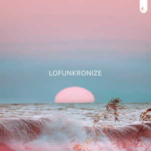 Album Lofunkronize from Emmett L. White