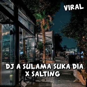 ดาวน์โหลดและฟังเพลง DJ A SULAMA SUKA DIA X SALTING (Explicit) พร้อมเนื้อเพลงจาก Zein fvnky