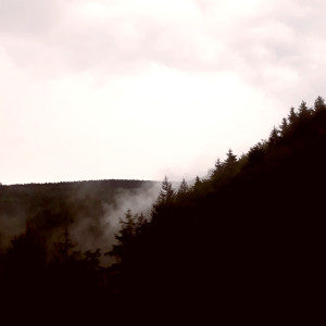 Listen to Untitled X2 song with lyrics from Reggy Van Oers