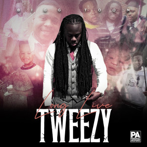 Listen to Freestyle (Explicit) song with lyrics from Bigg Toon