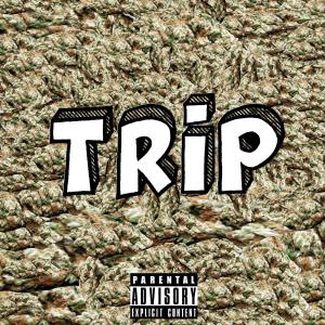 ดาวน์โหลดและฟังเพลง Trip (Explicit) พร้อมเนื้อเพลงจาก Survivor
