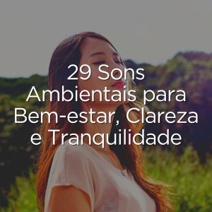 29 Sons Ambientais para Bem-estar, Clareza e Tranquilidade