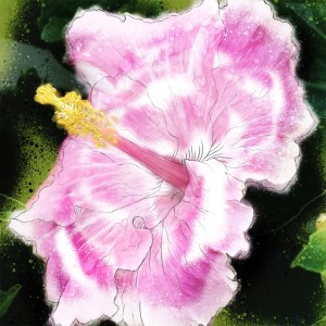 Listen to Pink & White song with lyrics from Bountydave
