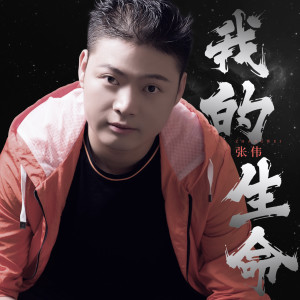Listen to 我的生命 (伴奏) song with lyrics from 张伟