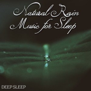 Listen to Natural Rain & Music for Sleep, Pt. 1 song with lyrics from Deep Sleep