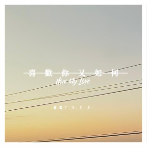 Listen to 喜欢你又如何 song with lyrics from 胡深T.R.E.E.