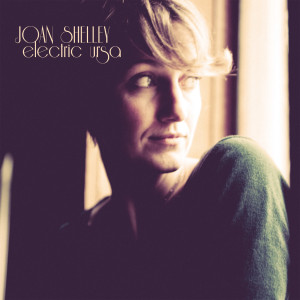 ดาวน์โหลดและฟังเพลง Rising Air พร้อมเนื้อเพลงจาก Joan Shelley