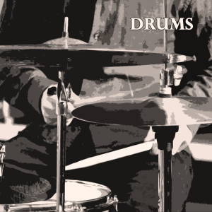 Drums dari Frank SocolowÕs Duke Quintet