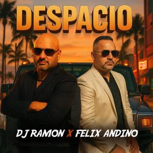 Dj Ramon的專輯Despacio
